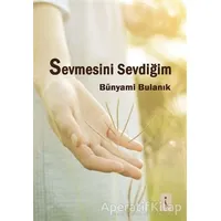 Sevmesini Sevdiğim - Bünyami Bulanık - İkinci Adam Yayınları