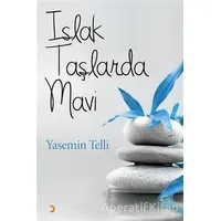 Islak Taşlarda Mavi - Yasemin Telli - Cinius Yayınları
