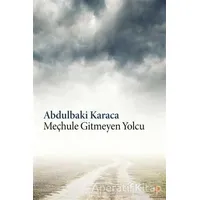 Meçhule Gitmeyen Yolcu - Abdulbaki Karaca - Cinius Yayınları