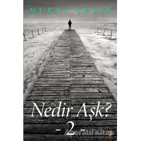 Nedir Aşk? - Murat Çetin - Cinius Yayınları