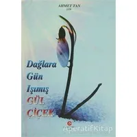 Dağlara Gün Işımış Gül Çiçek - Ahmet Tan - Can Yayınları (Ali Adil Atalay)