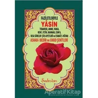 Faziletleriyle Yasin (Rahle Boy) - Kolektif - Şadırvan Yayınları