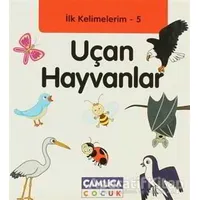 İlk Kelimelerim 5: Uçan Hayvanlar - Bilal Gezer - Çamlıca Çocuk Yayınları