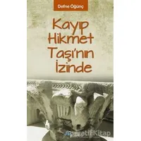 Kayıp Hikmet Taşının İzinde - Defne Öğünç - Başka Yerler Yayınları