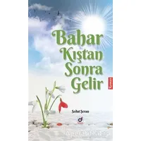 Bahar Kıştan Sonra Gelir - Sedat Şeran - Dua Yayınları