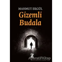 Gizemli Budala - Mahmut Ergül - İştirak Yayınevi