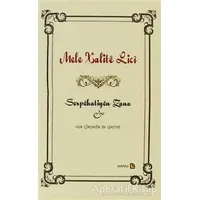 Serpehatiyen Zana - Mele Xalite Lici - Avesta Yayınları