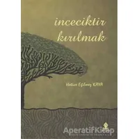 İnceciktir Kırılmak - Hatice Eğilmez Kaya - Roza Yayınevi
