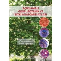 Açıklamalı Genel Botanik ve Bitki Anatomisi Atlası - Hüsnü Çakırlar - Palme Yayıncılık