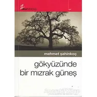Gökyüzünde Bir Mızrak Güneş - Mehmet Şahinkoç - Okur Kitaplığı