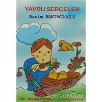 Yavru Serçeler - Rasim Bakırcıoğlu - Özlem Yayınevi