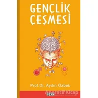 Gençlik Çeşmesi - Aydın Özbek - Ozan Yayıncılık