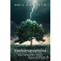 Elektromanyetizma - Halil Can Çetin - Cinius Yayınları