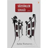 Sözcükler Sokağı - Aydın Yurtsever - Cinius Yayınları