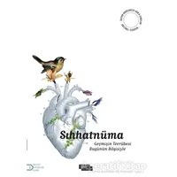 Sıhhatnüma - Kolektif - İnsan ve Hayat Kitaplığı