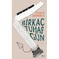 Bir Kaç Tuhaf Gün - İlknur Demirci - Şule Yayınları