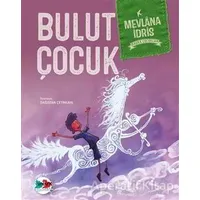 Bulut Çocuk - Mevlana İdris - Vak Vak Yayınları