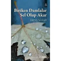 Biriken Damlalar Sel Olup Akar - Derviş Süslüer - Mat Kitap
