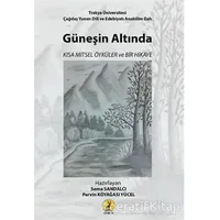 Güneşin Altında - Kolektif - Ceren Yayıncılık