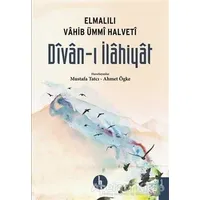 Divan-ı İlahiyat - Mustafa Tatcı - H Yayınları