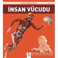 İnsan Vücudu - Ezgi İnanç - Almidilli