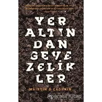 Yeraltından Gevezelikler - Mairtin O Cadhain - Aylak Adam Kültür Sanat Yayıncılık