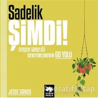 Sadelik Şimdi! - Jesse Sands - Eksik Parça Yayınları