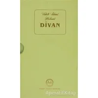 Vahib Ümmi Halveti Divan - Mustafa Tatcı - Diyanet İşleri Başkanlığı