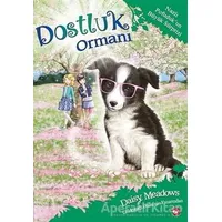 Dostluk Ormanı 10 - Nazlı Pofuduk’un Büyük Sürprizi - Daisy Meadows - Beyaz Balina Yayınları