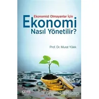 Ekonomist Olmayanlar İçin Ekonomi Nasıl Yönetilir? - Murat Yülek - Ceres Yayınları