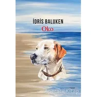 Oko - İdris Baluken - Dipnot Yayınları