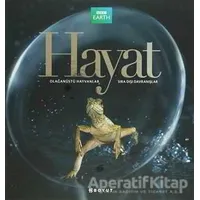 Hayat - Martha Holmes - Boyut Yayın Grubu