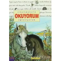 Çıkartmalarla Okuyorum Eğleniyorum -Küçük Tay Şahlan - Delphine Lacharron - Kaknüs Yayınları