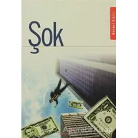 Şok - Mehmet Dikici - Berikan Yayınevi