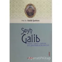 Şeyh Galib Hayatı, Sanatı, Eserleri, Edebi Kişiliği ve Bazı Şiirlerinin Açıklamaları