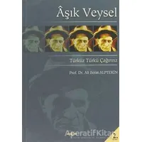 Aşık Veysel Türküz Türkü Çağırırız - Ali Berat Alptekin - Akçağ Yayınları