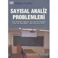 Sayısal Analiz Problemleri - Kolektif - Birsen Yayınevi