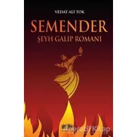 Semender - Vedat Ali Tok - Akıl Fikir Yayınları