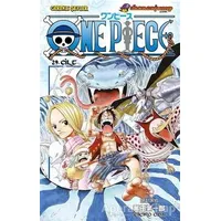 One Piece Cilt: 29 - Eiiçiro Oda - Gerekli Şeyler Yayıncılık