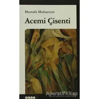 Acemi Çisenti - Mustafa Muharrem - Hece Yayınları