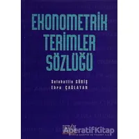 Ekonometrik Terimler Sözlüğü - Selahattin Güriş - Derin Yayınları