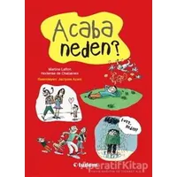 Haydi Birlikte Soralım: Acaba Neden? - Martine Laffon - Tudem Yayınları
