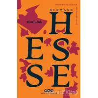 Mutluluk - Hermann Hesse - Yapı Kredi Yayınları