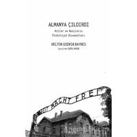 Almanya Çıldırdı - Helton Godwin Baynes - Pinhan Yayıncılık