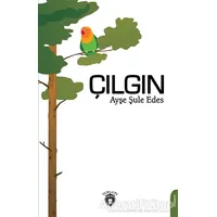 Çılgın - Ayşe Şule Edes - Dorlion Yayınları