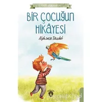 Bir Çocuğun Hikayesi - Alphonse Daudet - Dorlion Yayınları