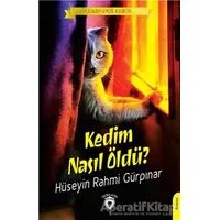 Kedim Nasıl Öldü? - Hüseyin Rahmi Gürpınar - Dorlion Yayınları