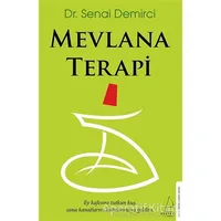 Mevlana Terapi - Senai Demirci - Destek Yayınları
