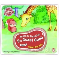 Aceleci Sincabın En Güzel Günü - Aysel Gürmen - Timaş Çocuk