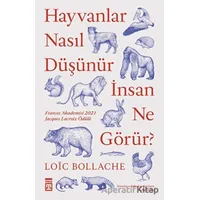 Hayvanlar Nasıl Düşünür İnsan Ne Görür? - Loic Bollache - Timaş Yayınları